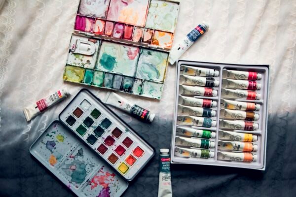 Professional artist paint set